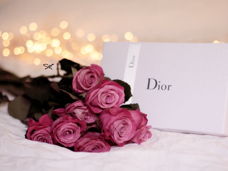 Bouquet of Pink Roses — Romantic, Photograph, Gift Box, String Lights