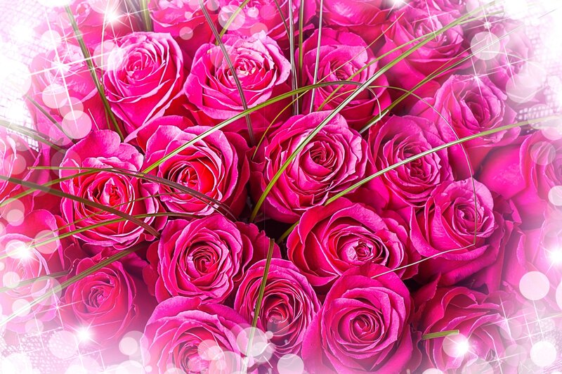 Bouquet of Pink Roses — Romantic, Photograph, Grass
