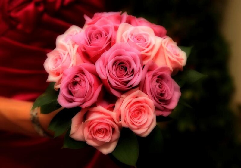 Bouquet of Pink Roses — Romantic, Photograph, Hand