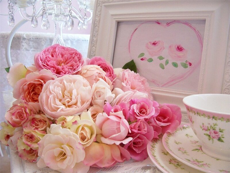 Bouquet of Pink Roses — Romantic, Photograph