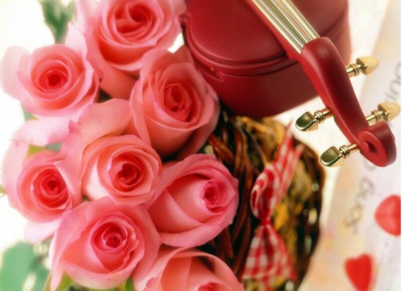 Bouquet of Pink Roses — Romantic