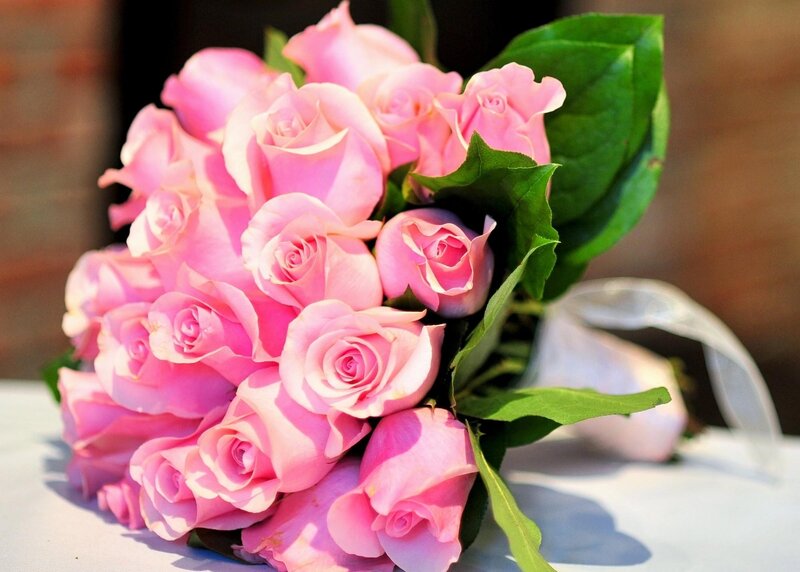 Bouquet of Pink Roses — Serene, Afternoon, Photograph, Green Leaves, White Ribbon