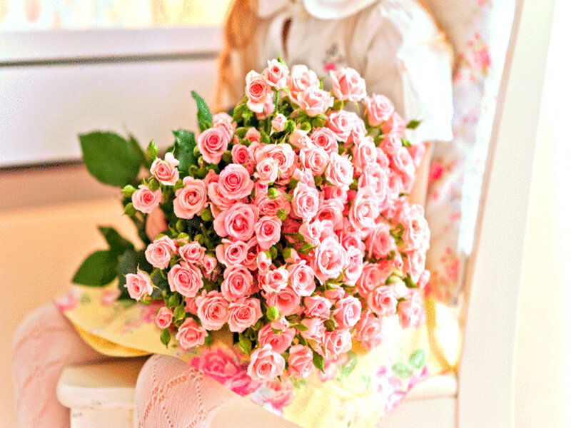 Bouquet of Pink Roses — Serene, Afternoon, Photograph, Person, Chair, Dress