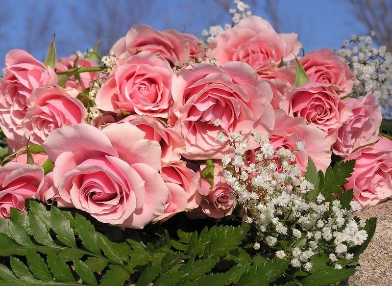 Bouquet of Pink Roses — Serene, Afternoon, Photograph, White Baby's Breath, Green Fern Leaves