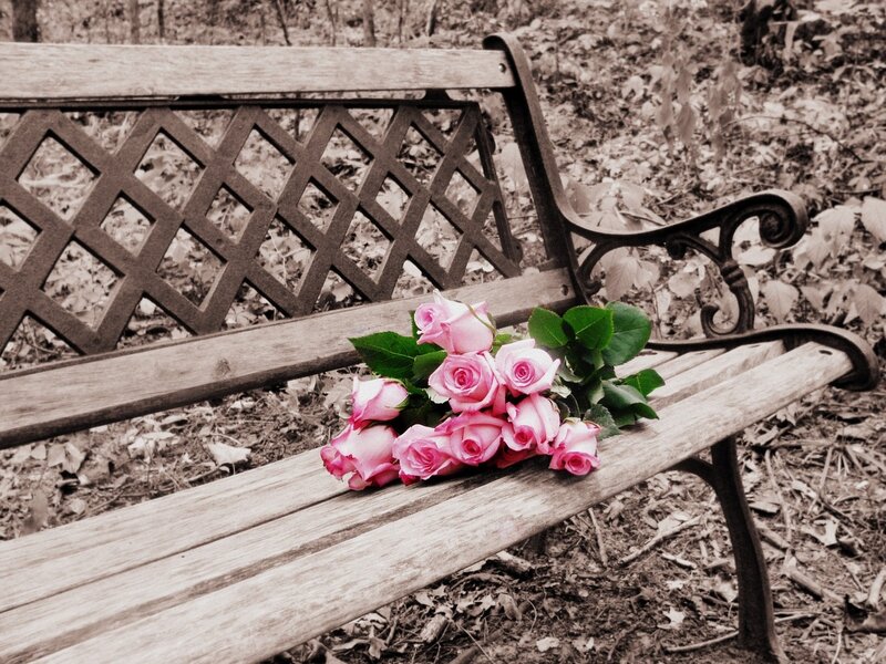 Bouquet of Pink Roses — Serene, Autumn
