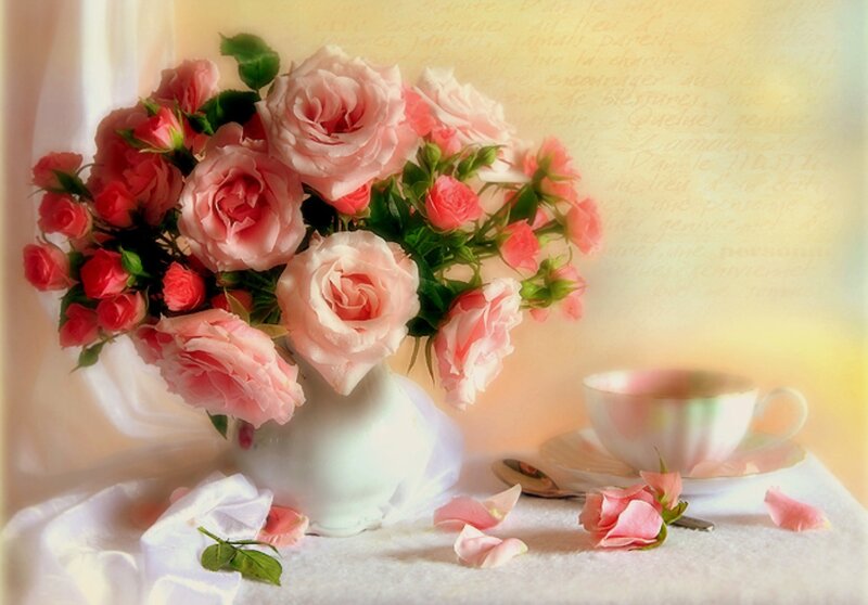 Bouquet of Pink Roses — Serene, Morning