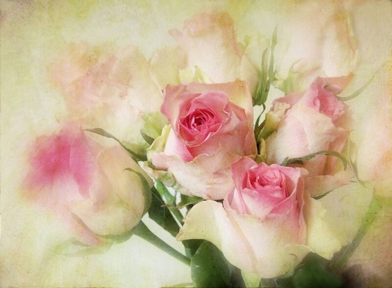 Bouquet of Pink Roses — Serene, Painting