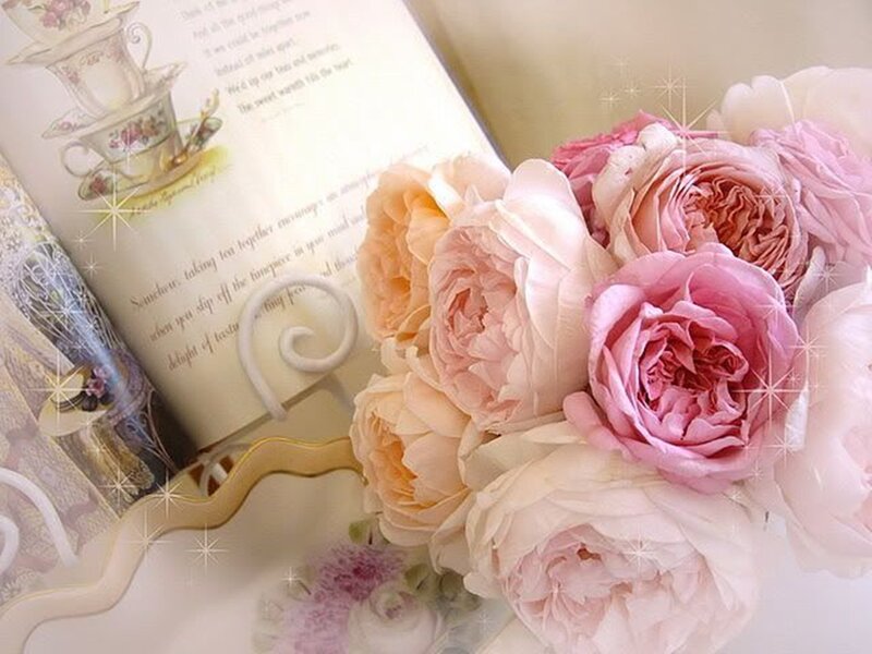 Bouquet of Pink Roses — Serene, Photograph, Book