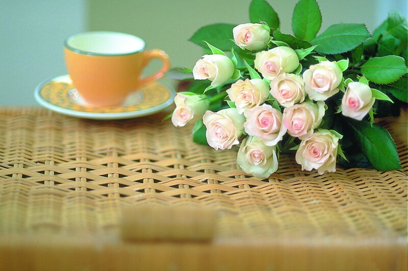 Bouquet of Pink Roses — Serene, Photograph, Cup