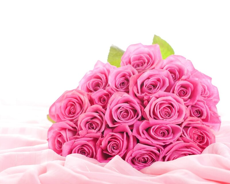 Bouquet of Pink Roses — Serene, Photograph, Green Leaves, Fabric