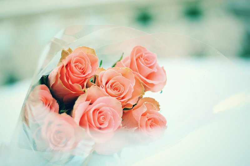 Bouquet of Pink Roses — Serene, Photograph, Plastic Wrap