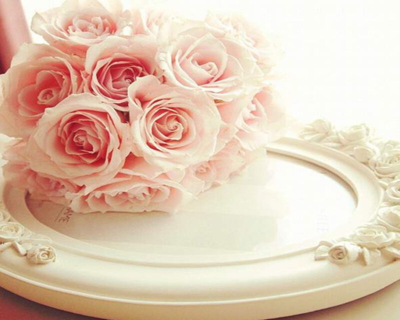 Bouquet of Pink Roses — Serene, Photograph, Plate