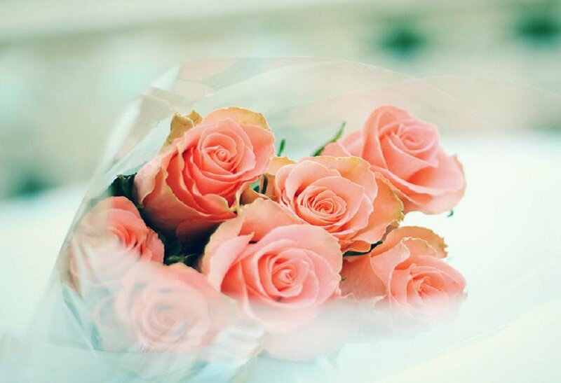 Bouquet of Pink Roses — Serene, Photograph, Wrap
