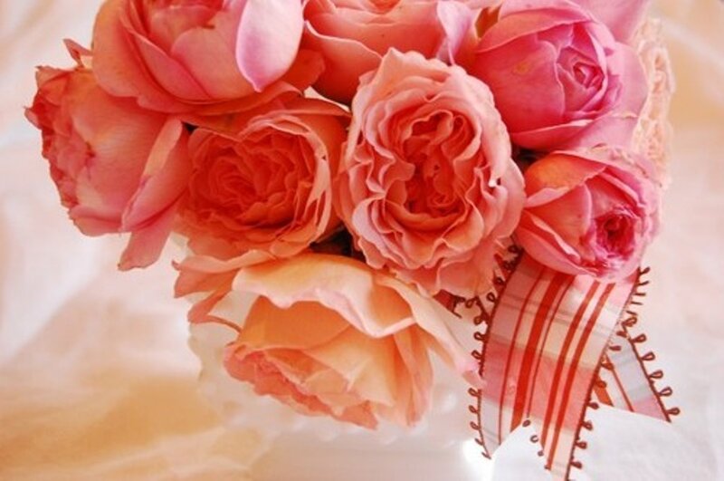 Bouquet of Pink Roses — Soft, Photograph, Ribbon