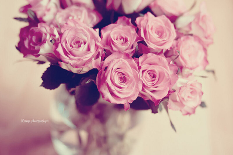 Bouquet of Pink Roses — Soft, Photograph, Vase