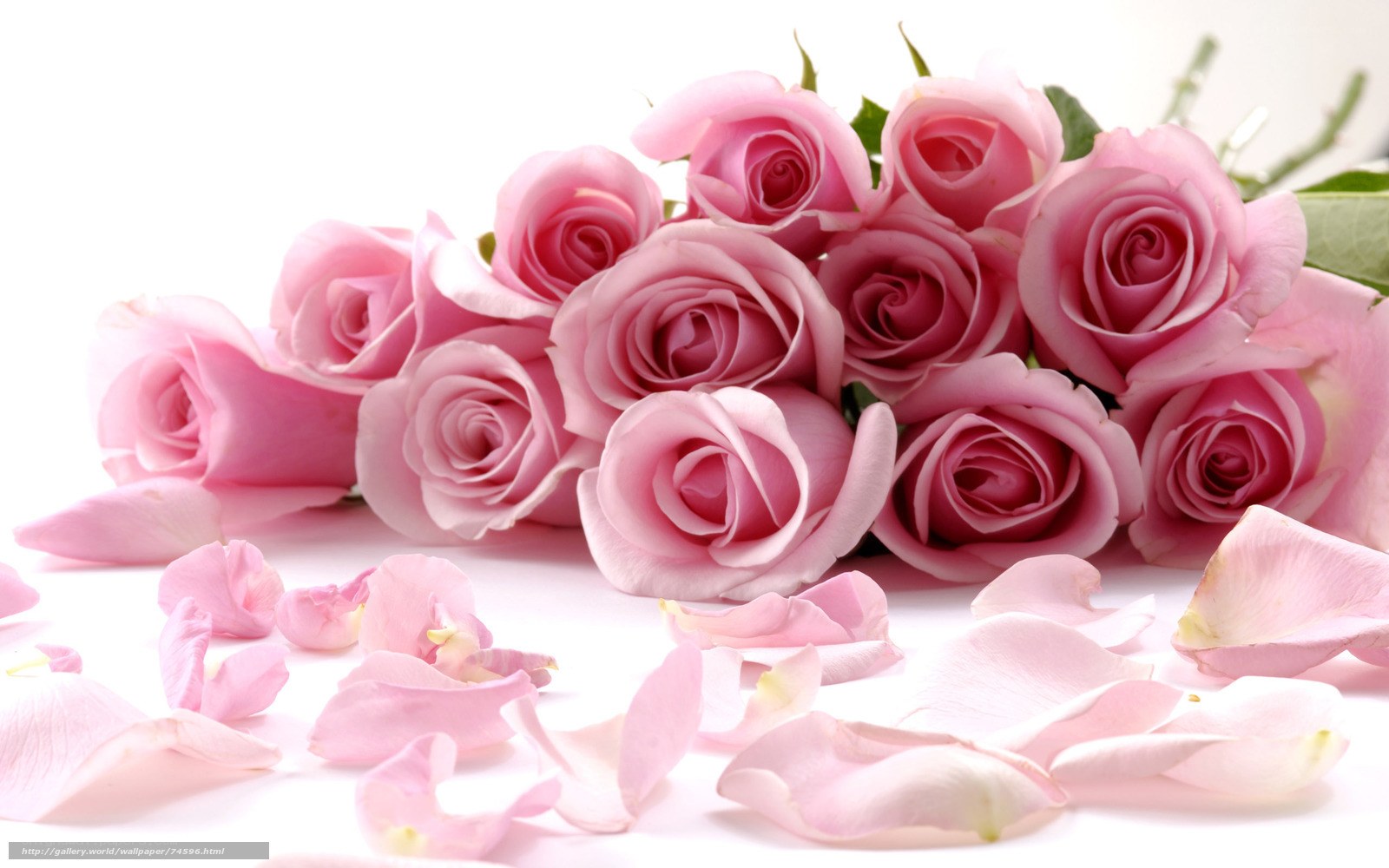 bouquet of pink roses