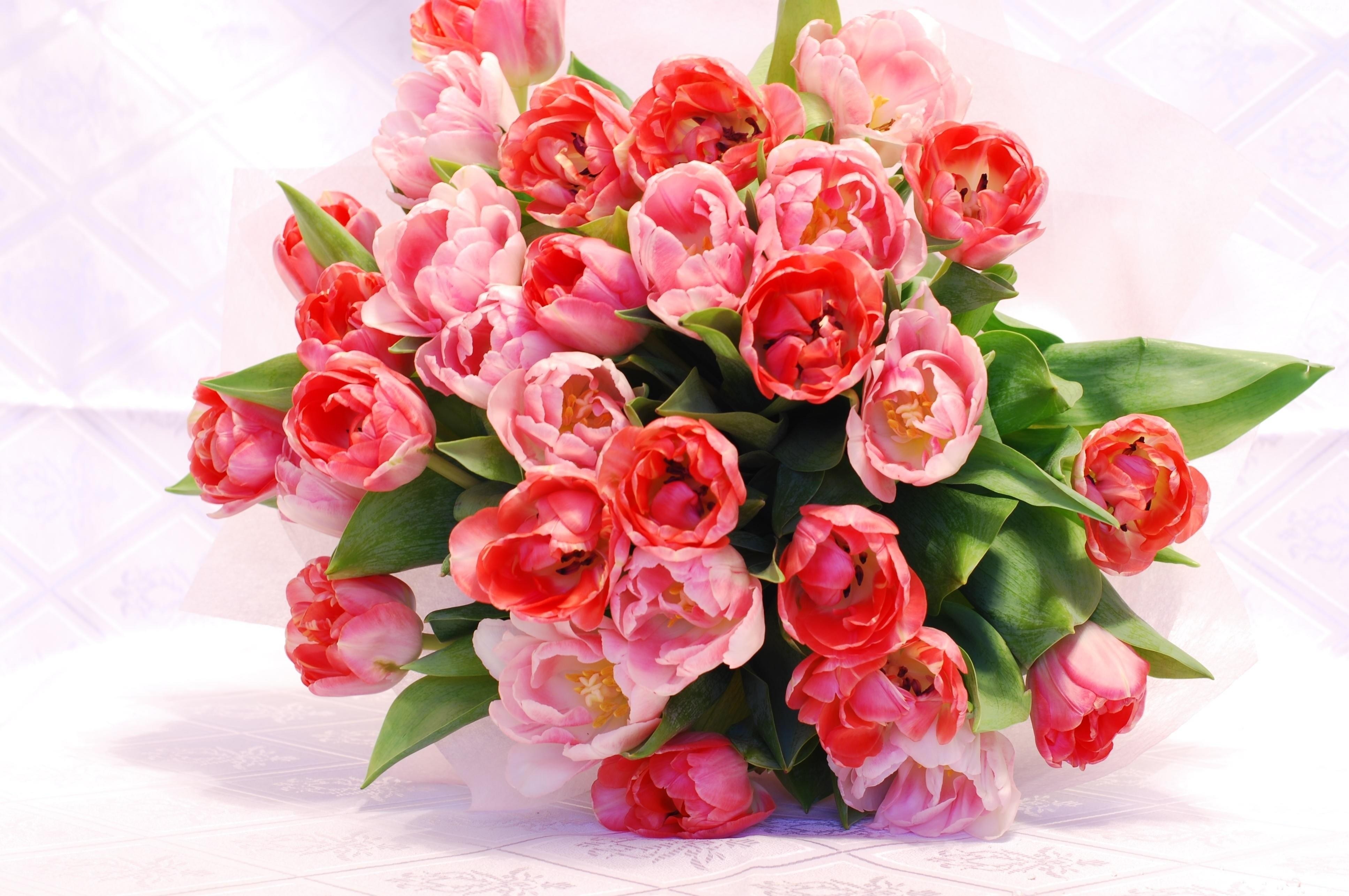 bouquet of pink tulips