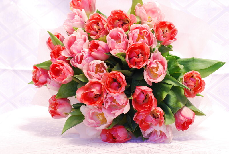 Bouquet of Pink Tulips — Calm, Photograph