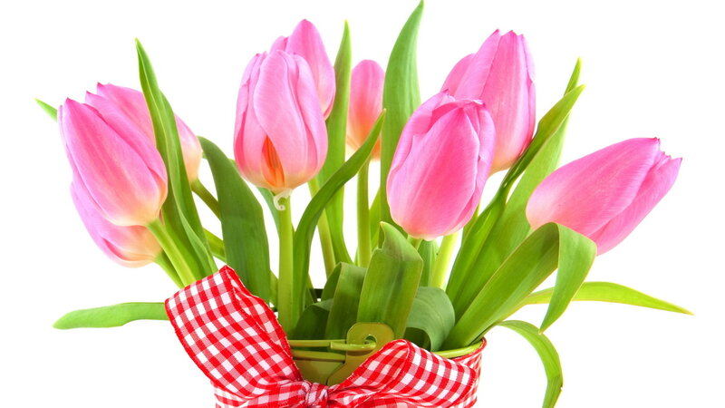 Bouquet of Pink Tulips — Calm, Spring, Photograph