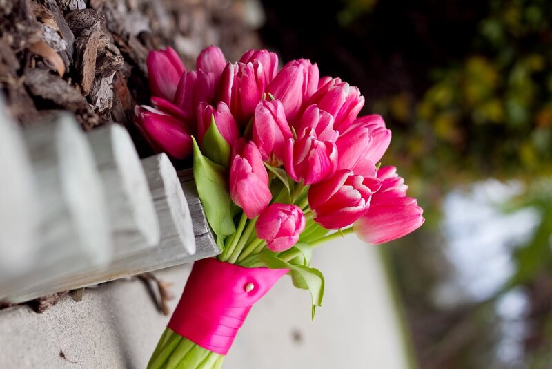 Bouquet of Pink Tulips — Calm, Spring, Photograph, Wooden Plank