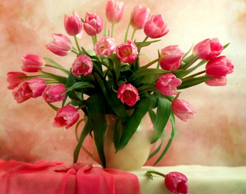 Bouquet of Pink Tulips — Calm