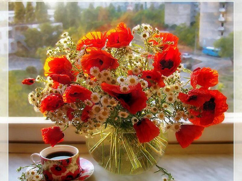 Bouquet of Poppies and Daisies — Red, Serene, Morning