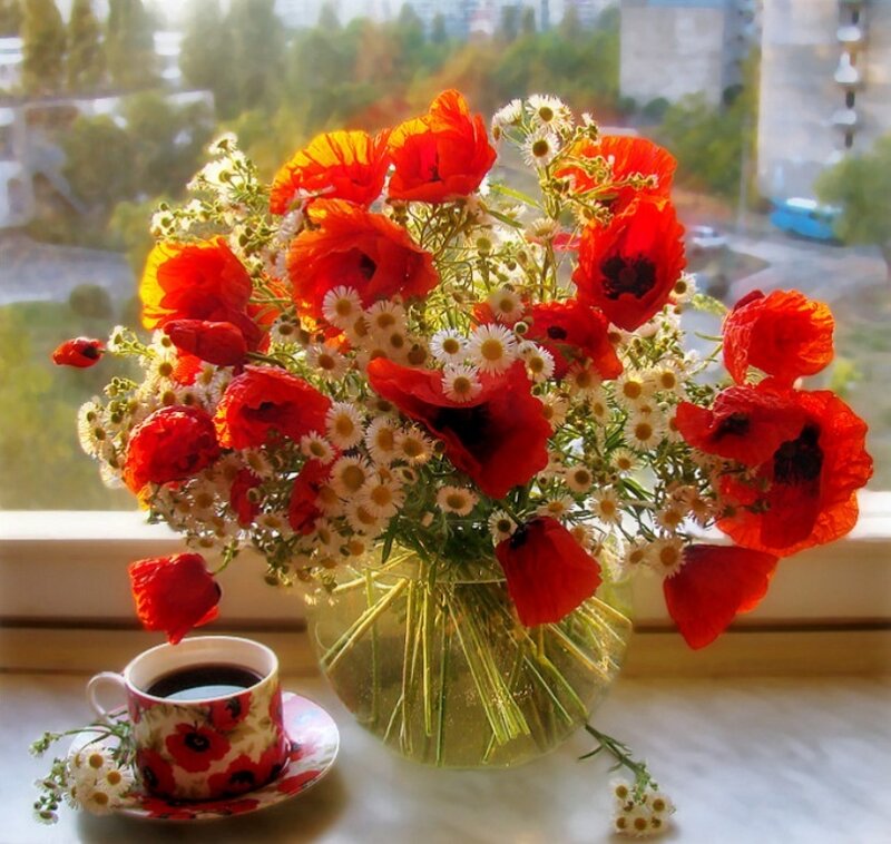 Bouquet of Poppies and Daisies — Red, Serene