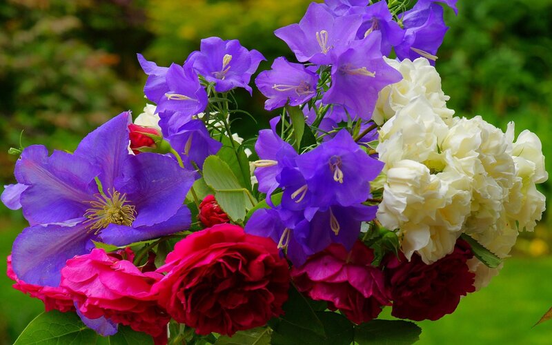 Bouquet of Purple and Red Flowers — Vibrant