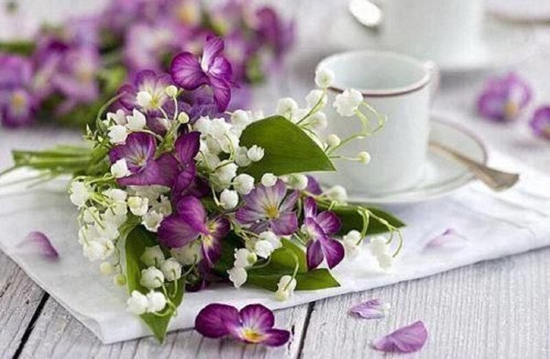 Bouquet of Purple and White Flowers — Serene, Spring