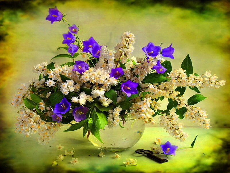Bouquet of Purple and White Flowers — Serene