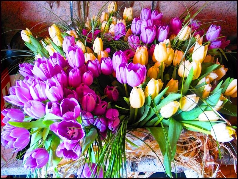 Bouquet of Purple and Yellow Tulips