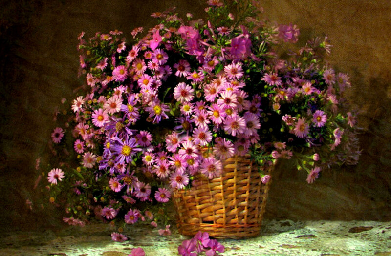 Bouquet of purple asters