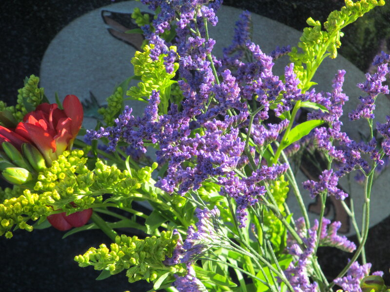 Bouquet of Purple Flowers — Calm, Afternoon