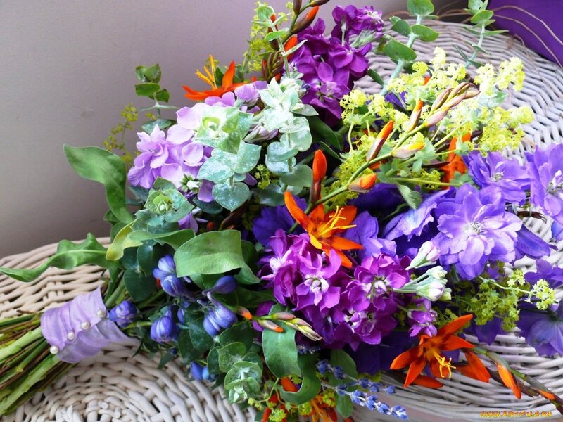 Bouquet of Purple Flowers — Colorful