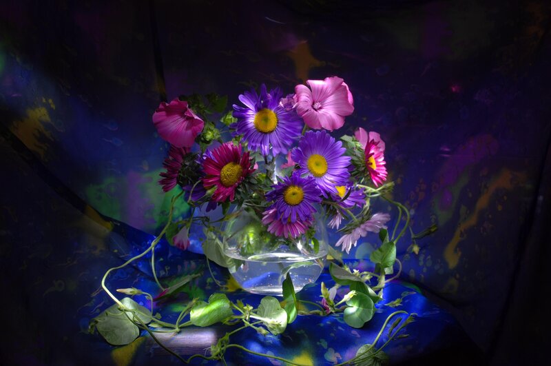Bouquet of Purple Flowers — Dramatic, Night, Photograph