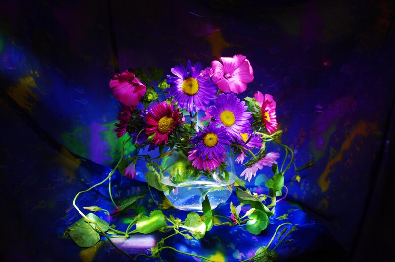 Bouquet of Purple Flowers — Dramatic, Night