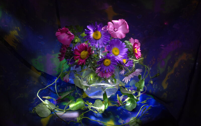 Bouquet of Purple Flowers — Dramatic