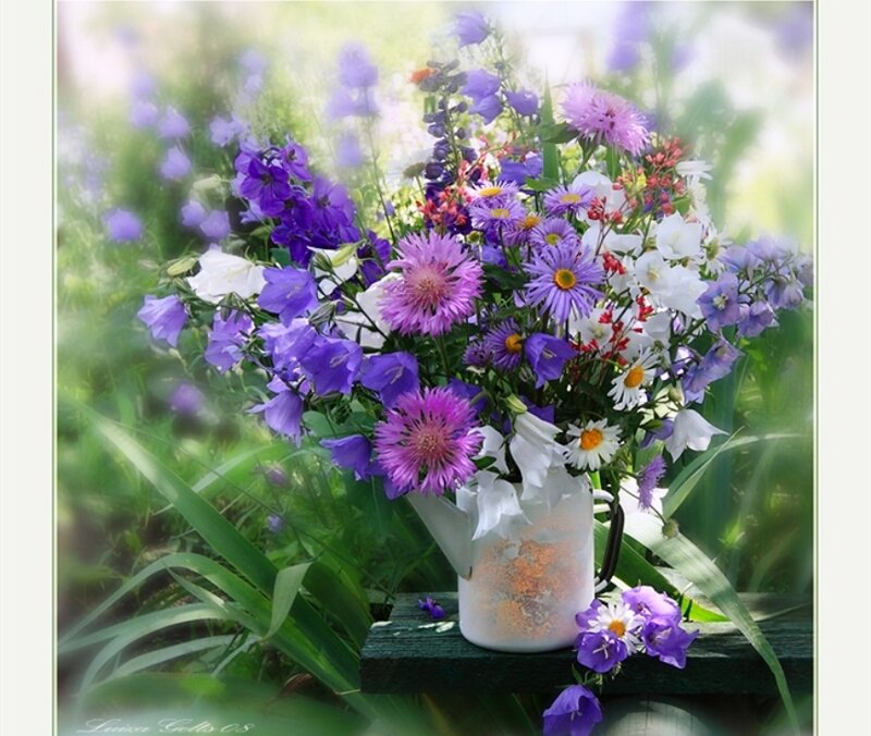 Bouquet of Purple Flowers — Serene, Afternoon