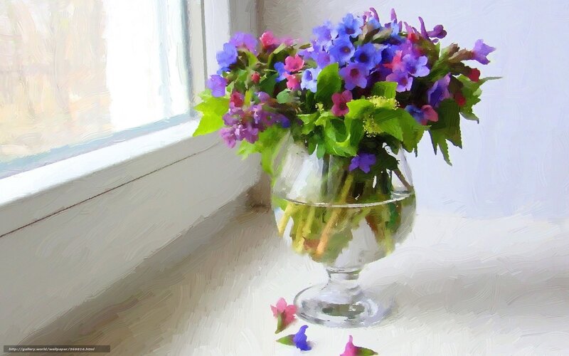 Bouquet of Purple Flowers — Serene, Morning