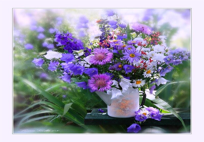 Bouquet of Purple Flowers — Serene, Summer