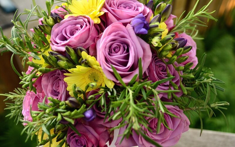 Bouquet of Purple Roses — Calm, Afternoon, Photograph, Yellow Daisies
