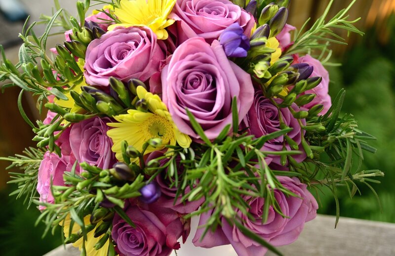 Bouquet of Purple Roses — Calm, Afternoon