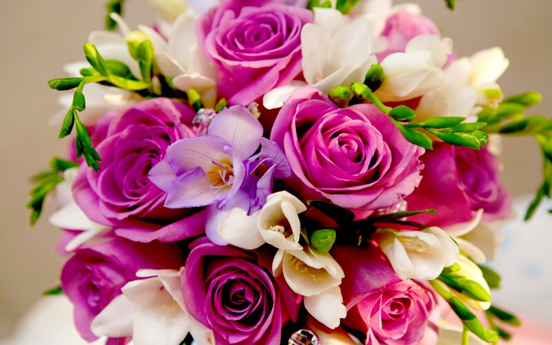 Bouquet of Purple Roses — Elegant