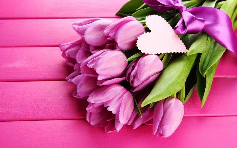 Bouquet of Purple Tulips — Pink, Romantic