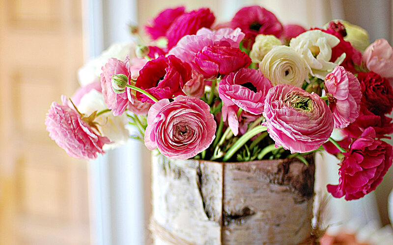 Bouquet of Ranunculus Flowers — Pink, Calm, Afternoon