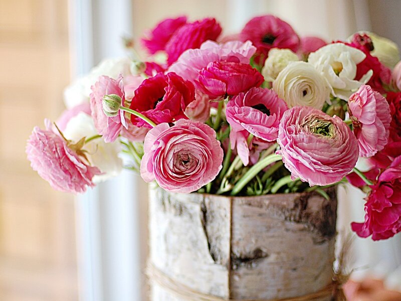 Bouquet of Ranunculus Flowers — Pink, Serene, Afternoon
