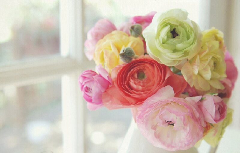 Bouquet of Ranunculus Flowers — Pink, Serene, Morning