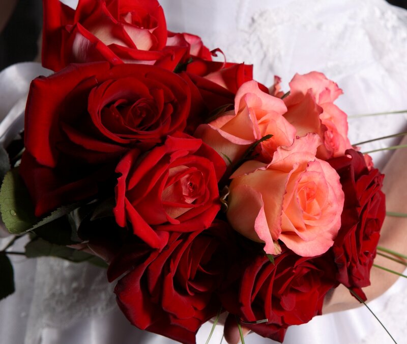 Bouquet of Red and Pink Roses — Romantic, Photograph