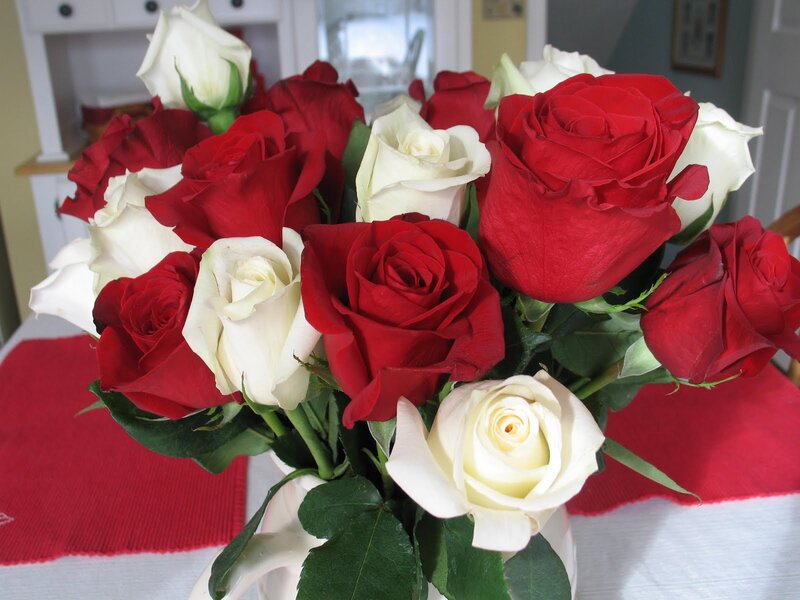 Bouquet of Red and White Roses — Calm, Afternoon
