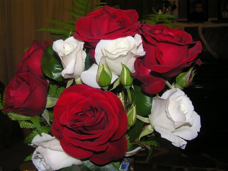 Bouquet of Red and White Roses — Calm, Night